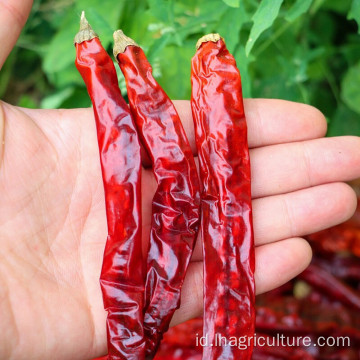 Harga cabai merah kering redchili kering